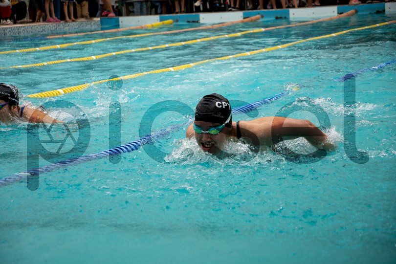 Photo of awxnlfov58rhnsl6as0hfn13