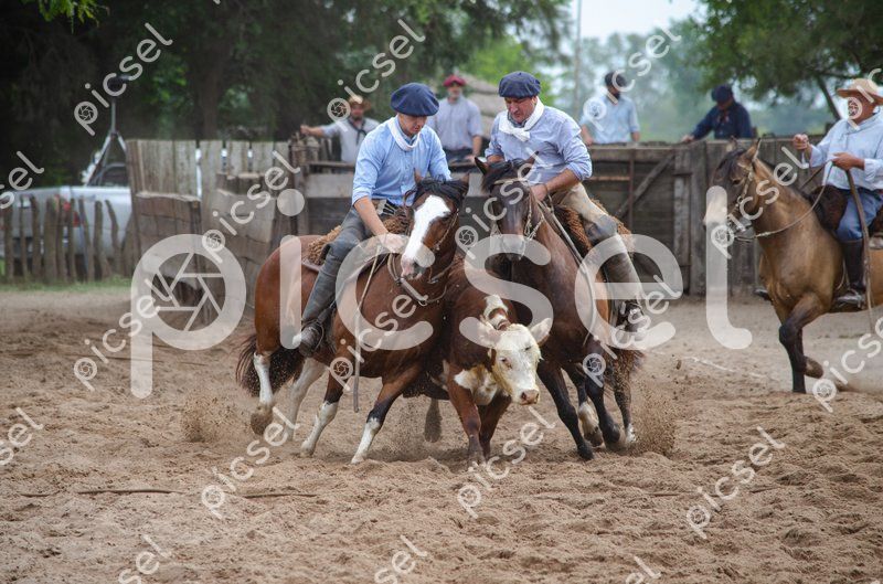 Photo of cn8lr063bkmr3jk903lvergk