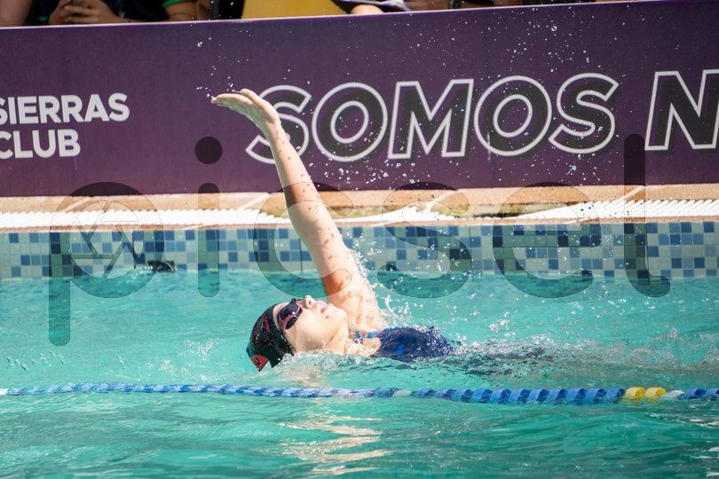 Photo of pskg91feq352ot3snp3osr1r