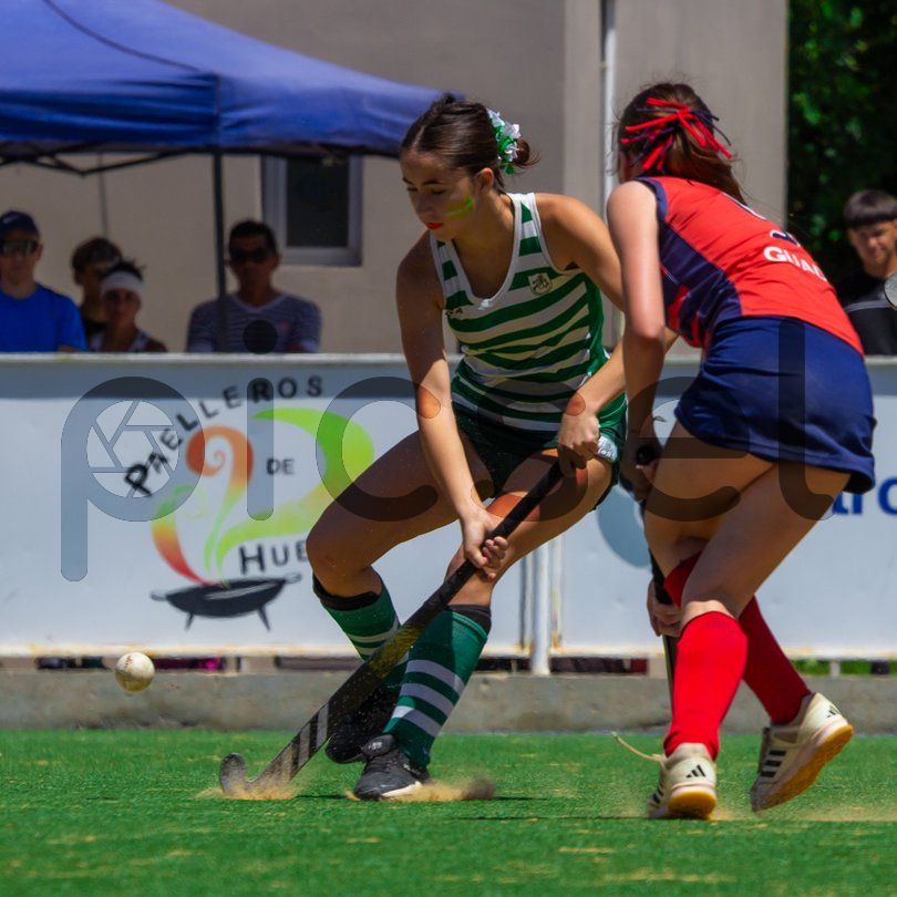 Photo of ms57hq4powq9lmpjelzv8ctz