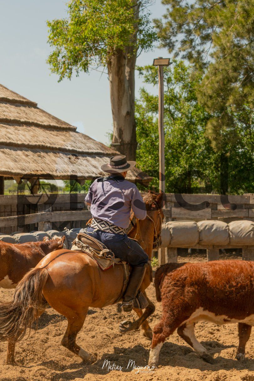 Photo of sp0lepkxmg5djp487sovodut