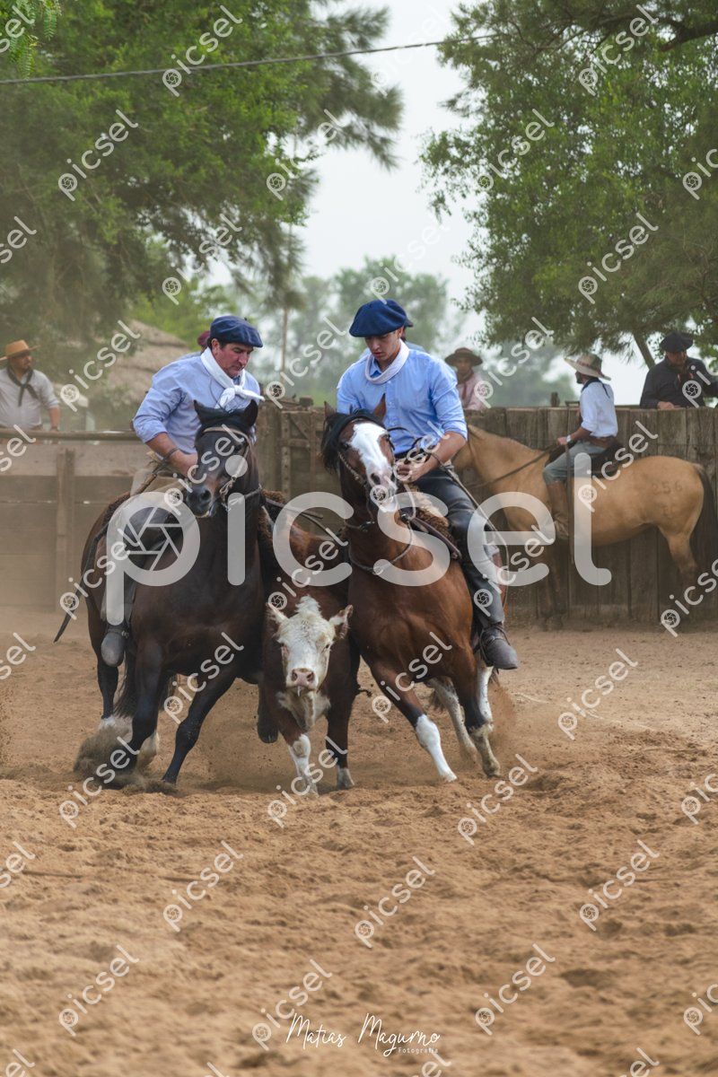 Photo of wjrv9m08skma7faw5k693fua