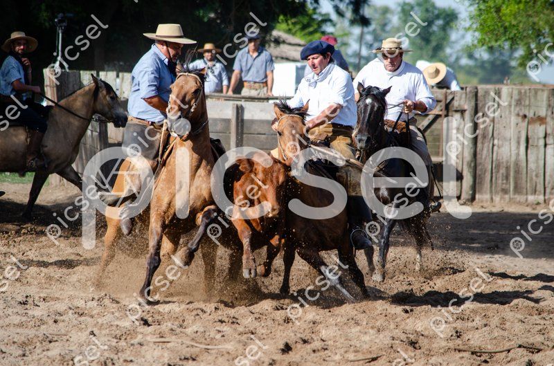 Photo of d9kdnt6tedslkt3ujavjjlcr