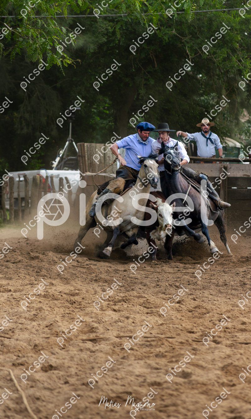 Photo of zi0k84nvzxxqdvjyyeckslrh