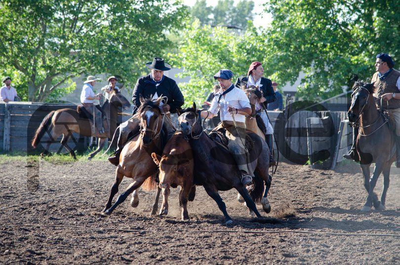 Photo of in1ki3i1p686r5xxinhpwh35