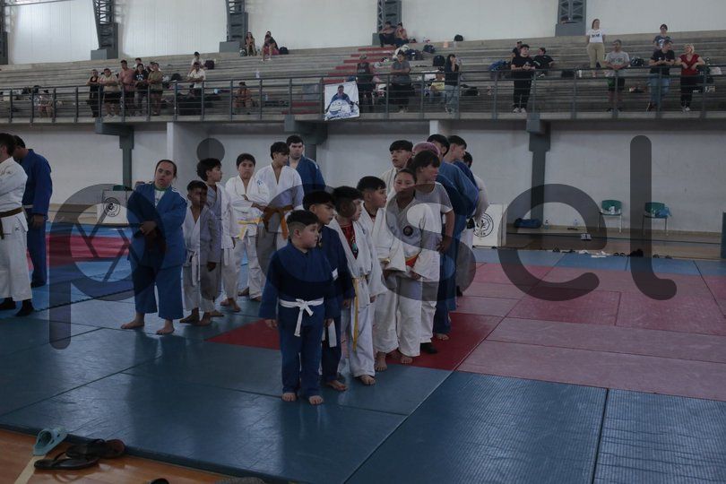 Photo of ul9xllmgoola7cwnwgqad4r6