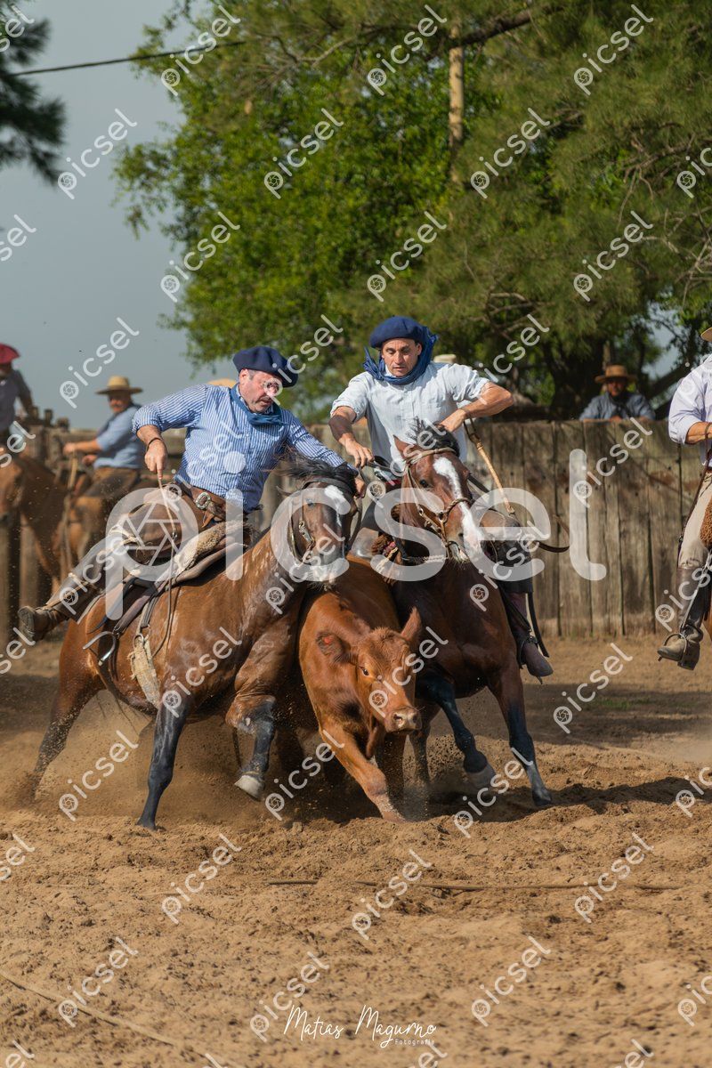 Photo of vf5ydztndo40u32yc3xw4lev