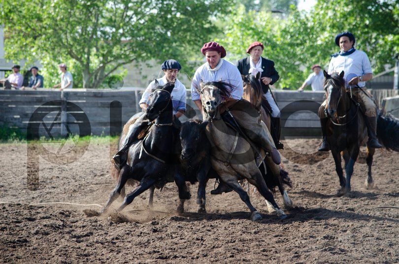 Photo of fbcoz6dvyugiuo5a16k4398w