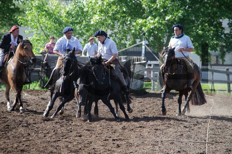 Photo of mut041gd12gkrbx4kcfzhf5k