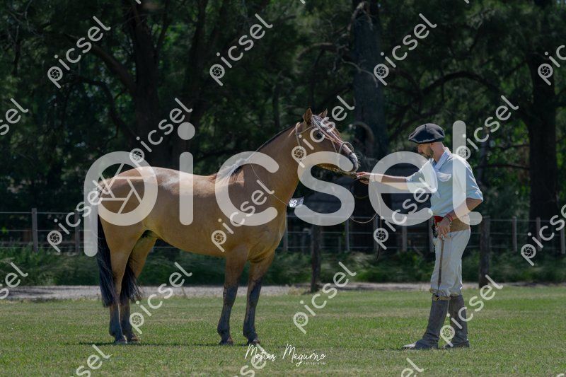 Photo of weelpvb2ptj0str6cepkwf1k