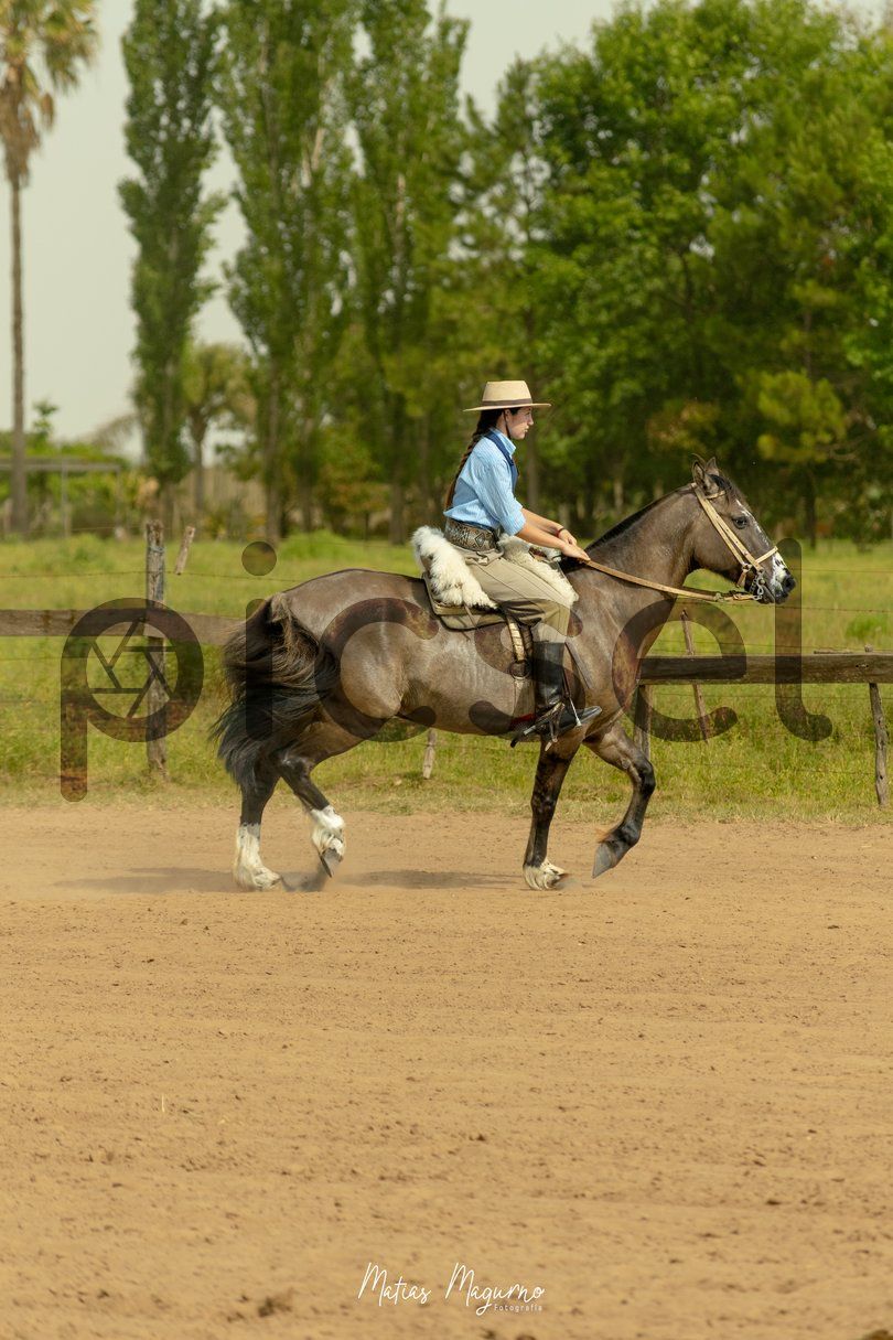 Photo of aemsgxoor6v53a4dth9nh4km