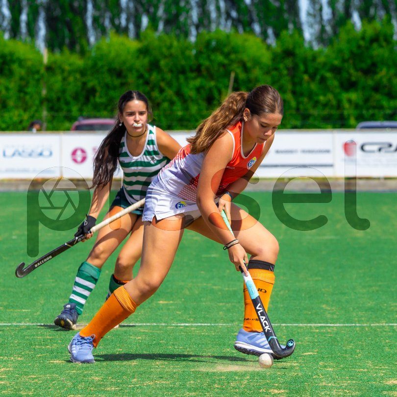 Photo of y4rrclf7sf52btpqkqeih18h