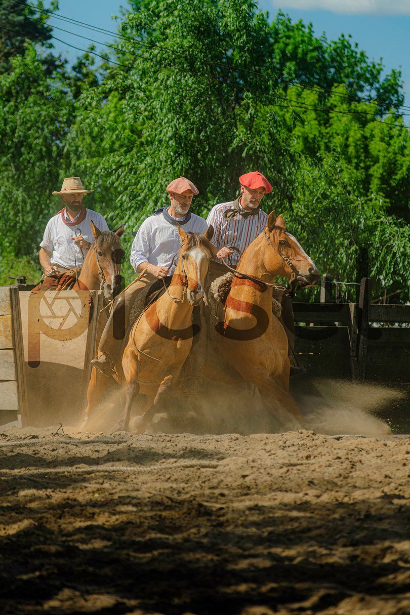 Photo of rvhqaeu6um152cmtmap910lx