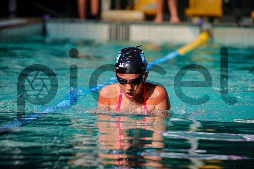 Photo of n2y8kv46lfb1ofgd92isqgqu