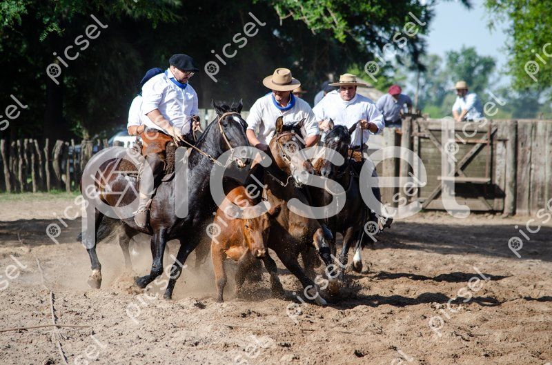 Photo of uadetzzx3qiinu9n9nauw92y