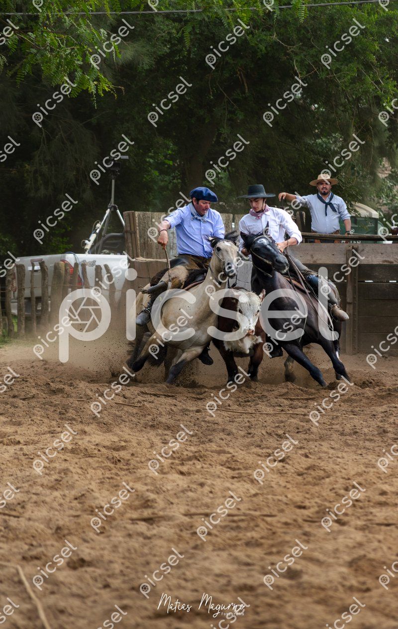 Photo of bjrlmddtacjs61vij9ptgi4a