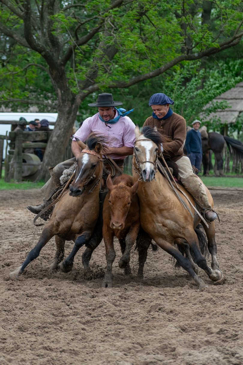 Rodeos
