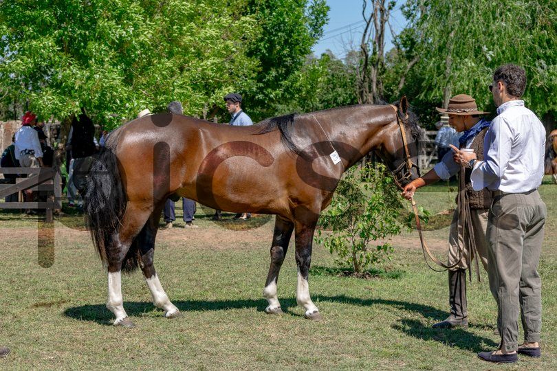 Photo of ge334tiesf9m835oqqu920dy