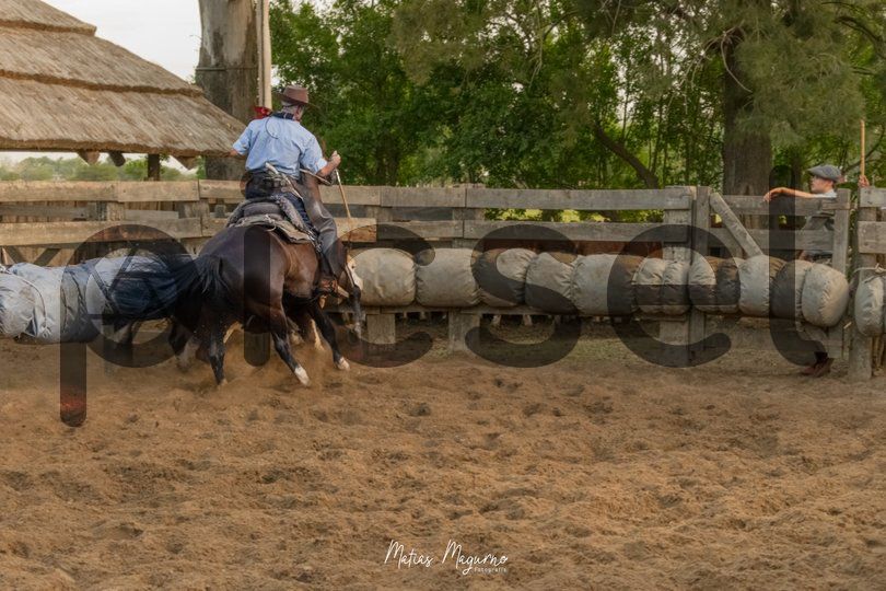 Photo of ul2e2pvf3h5gjjhnwmgp88ww