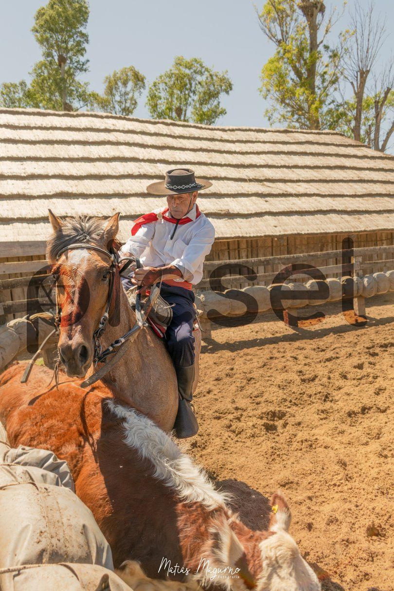 Photo of wswb6r29jq1f1ng1g5mv3rrz