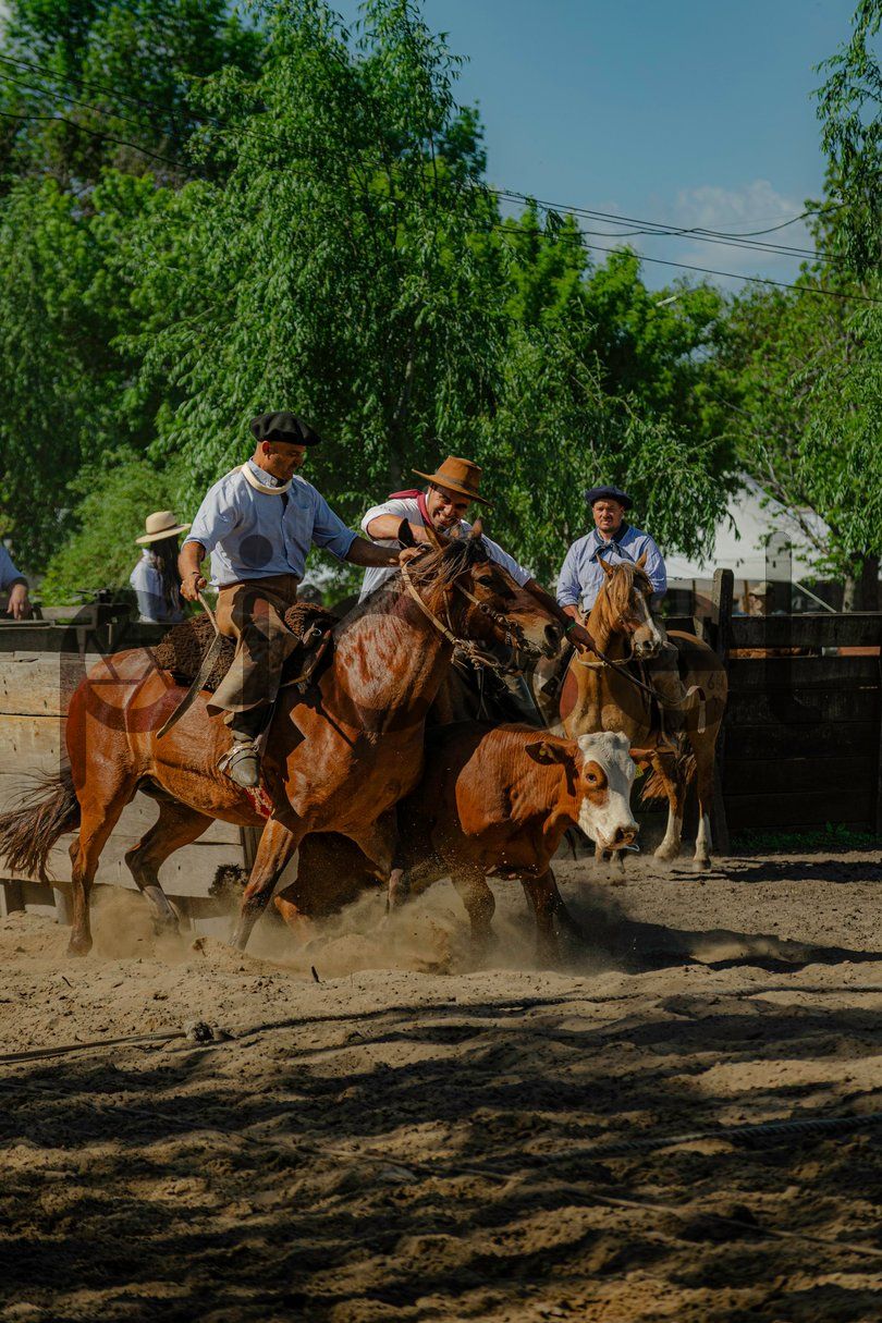 Photo of s3rnffgq4svfqcfn9kaj59dr