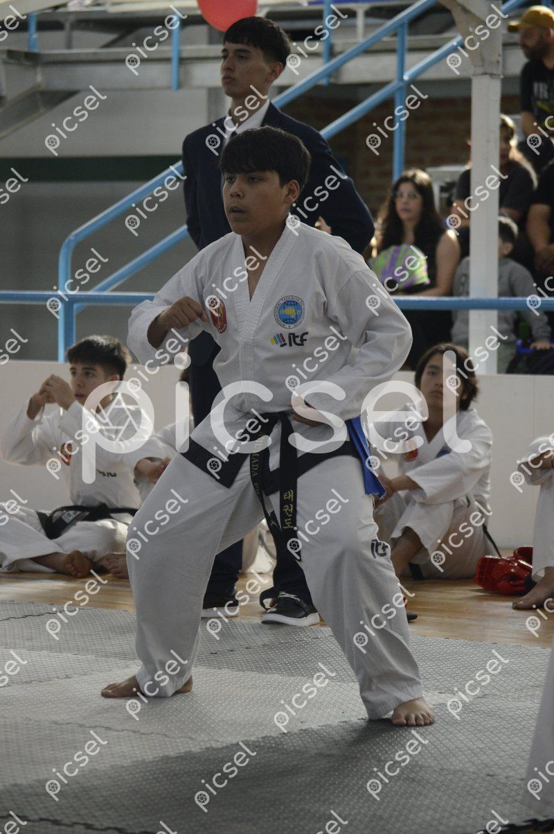 Photo of rib97ykwkgsw5jgyvc74uo2o