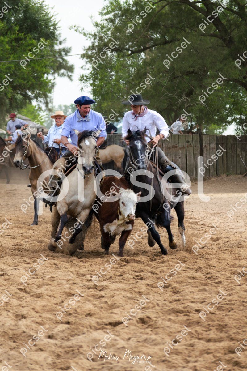 Photo of kvvnab2c842wnw1luavtzdcc