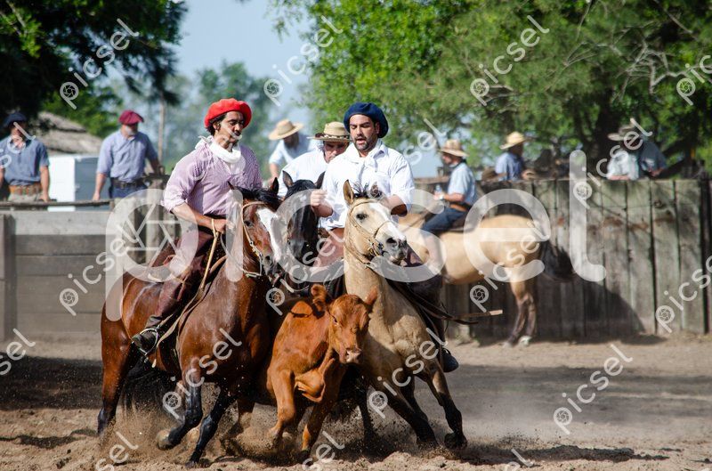 Photo of p0uvommwr9cxy7kb1spl77uo