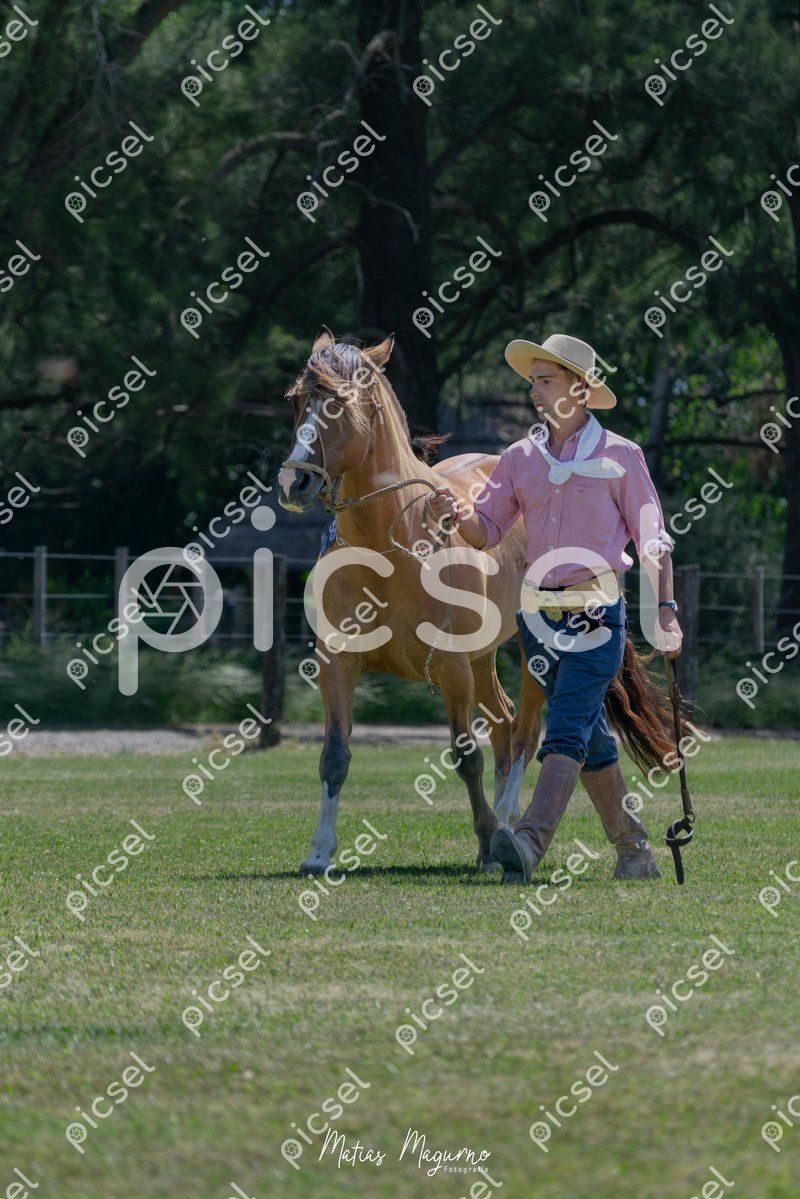 Photo of zu4vea1vtjfercimzusqy6cr