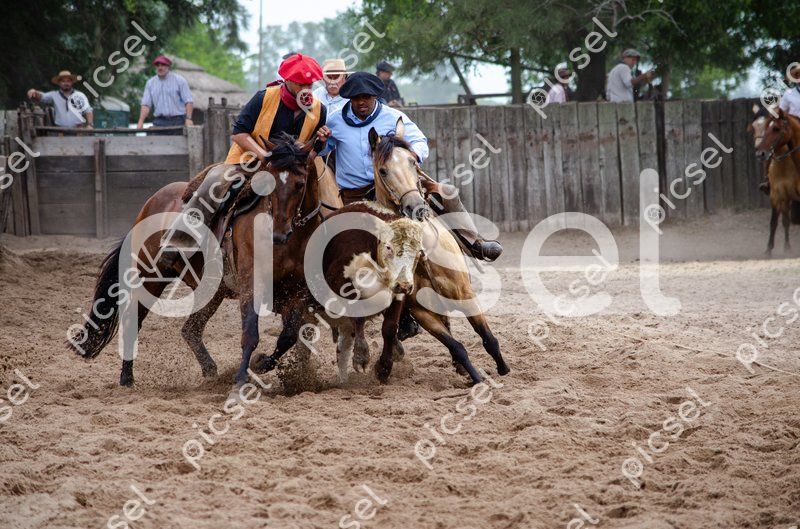 Photo of uaq9n5ljxj0a8l40pe633lkq