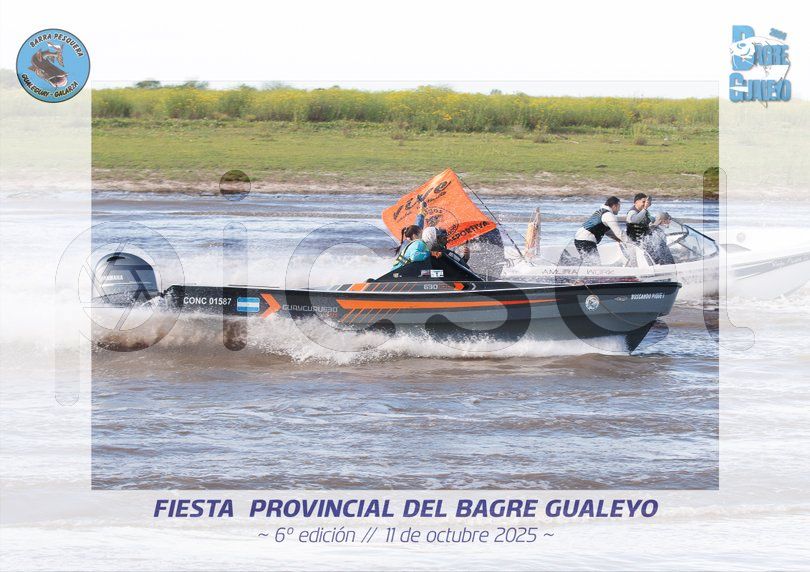 Photo of lcib1ed3llc8ypfz1s519n1r