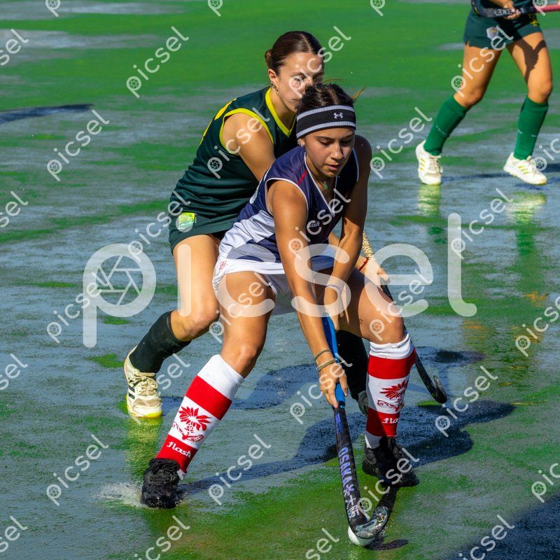 Photo of vik1dpaprwdx5mwwy301emhf