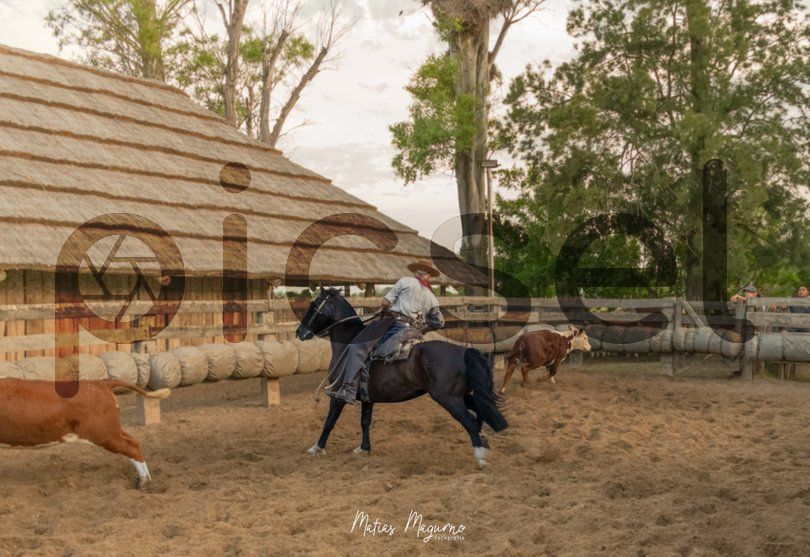 Photo of ofrx7p04kw7l3tm8y27kbnv2