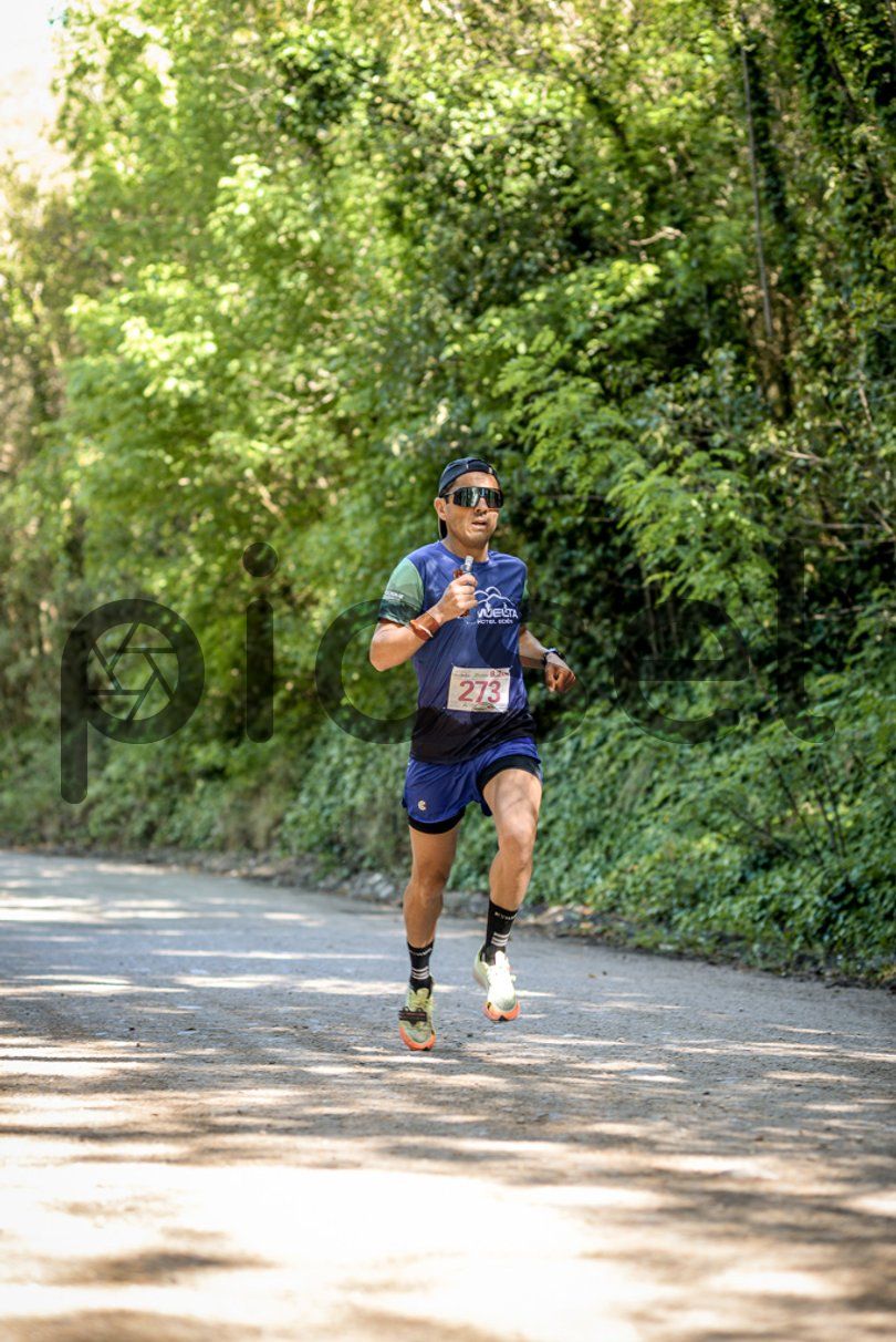 Photo of t8fqfev437fvlapz7g4p3ny4