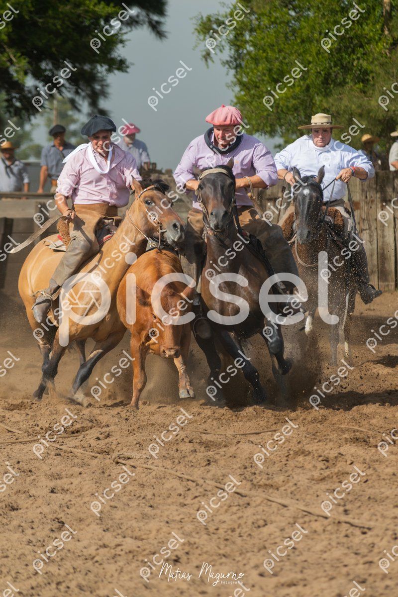 Photo of ldf62mzss8j1c9c17s18ysst