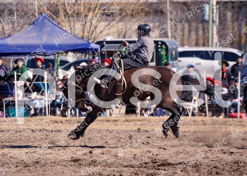 Photo of ro3t2v4jeh8g5f7f4u4dssxy