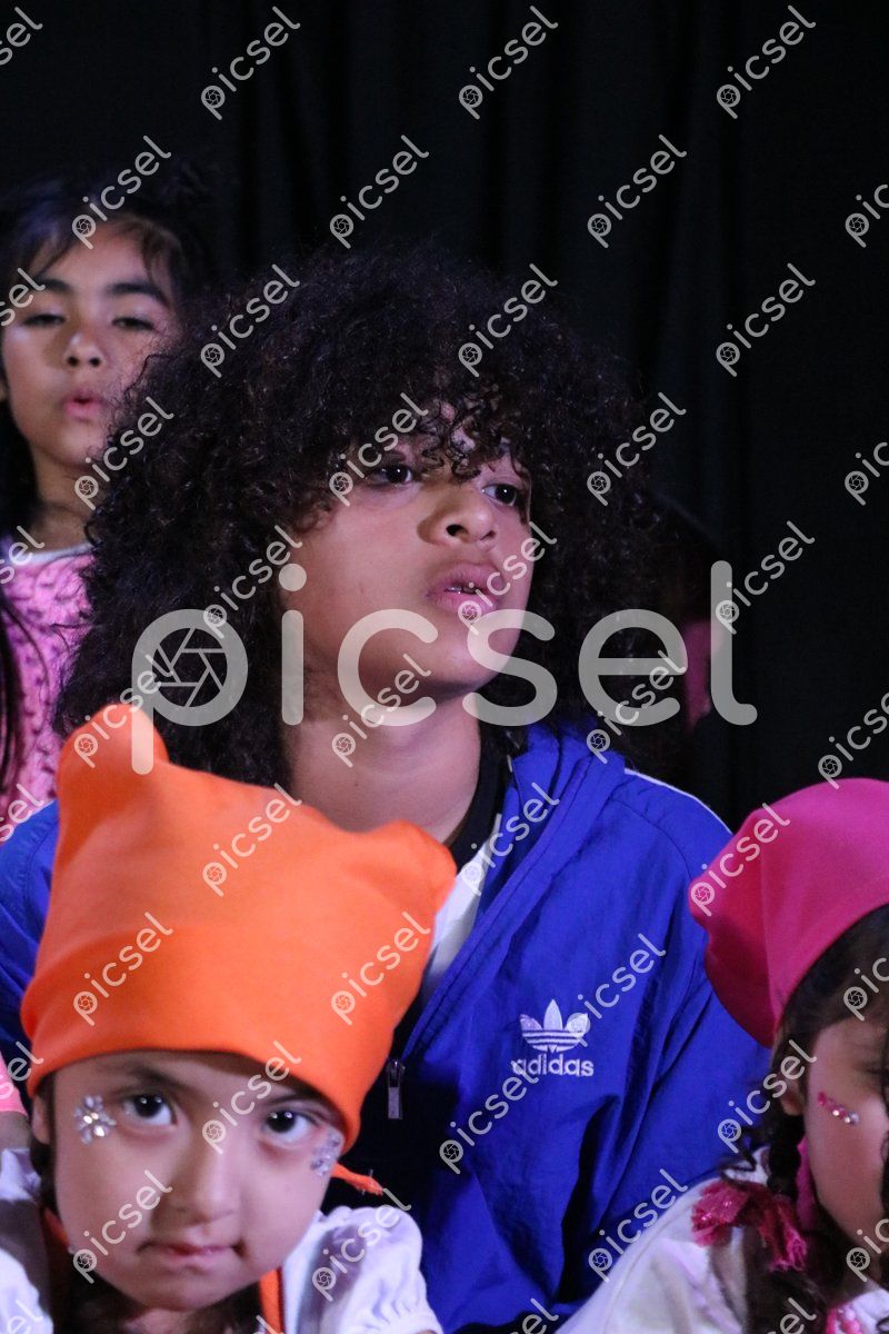 Photo of onb0s5dok29jd7ksnr4iwme6