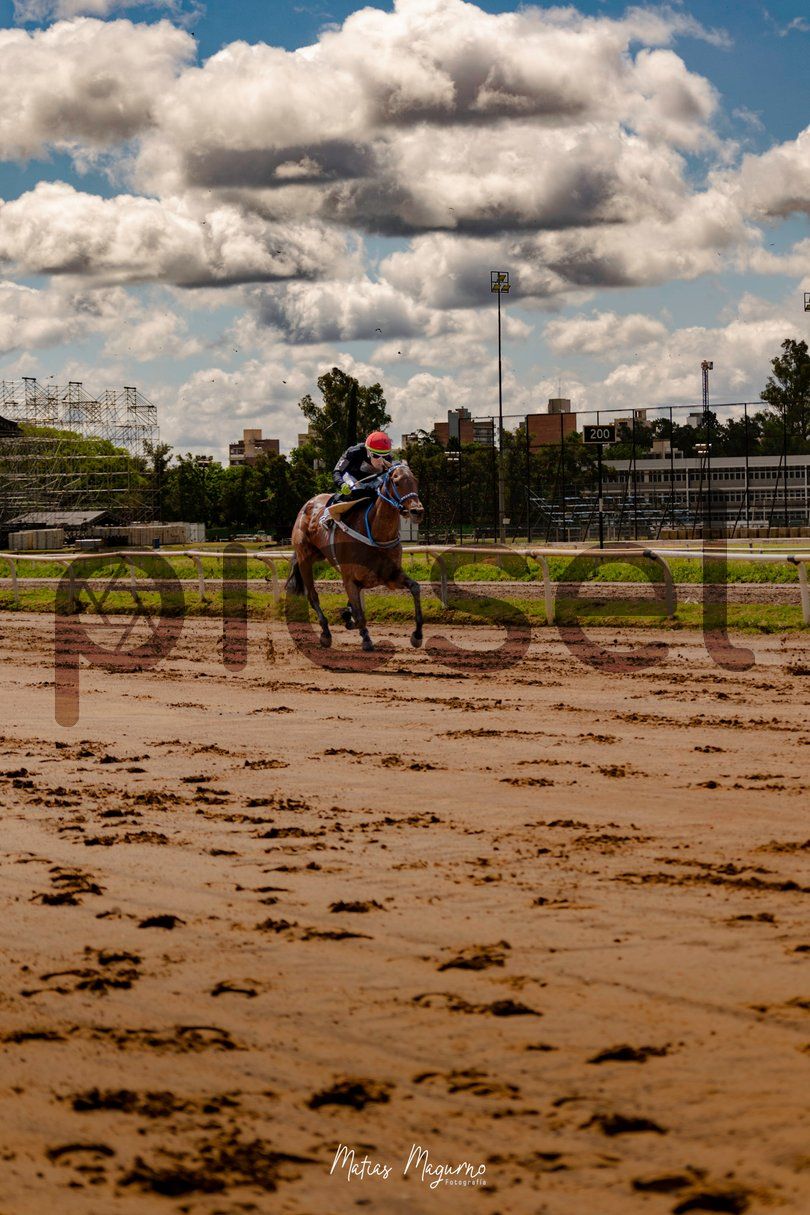 Photo of rzcbp01t621jhj7p8ou9nsne