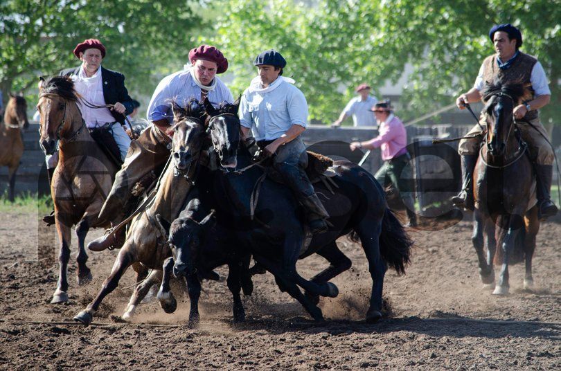 Photo of yazgor1qevdukdh5w64nzlyo