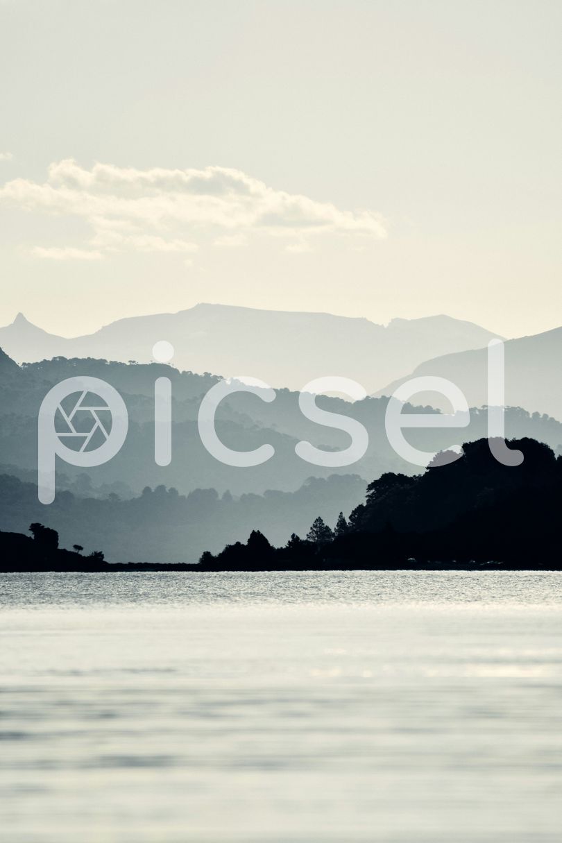 Photo of f3f2t4r1lil12uva0536267g