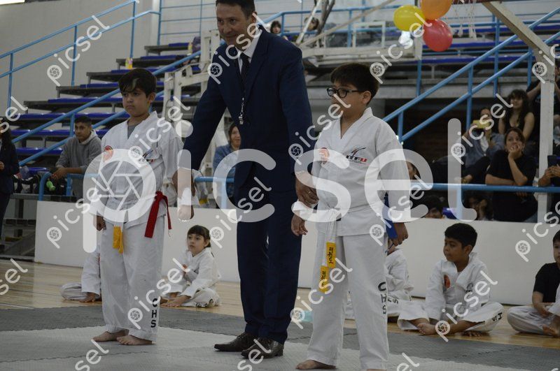 Photo of uqldoigqrhx1olsnuqn6ta2i