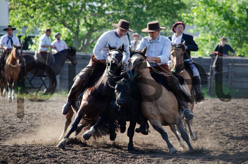 Photo of k3s25ha3rds7nl87rup8q1rd