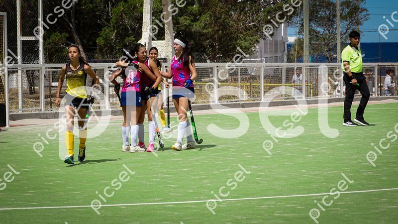 Photo of ieqbwihq05wzslivfuw0ge0k