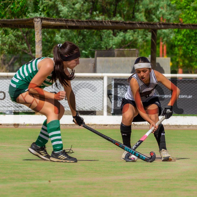 Photo of y5mg6sbigrrlogkj23yfzs66