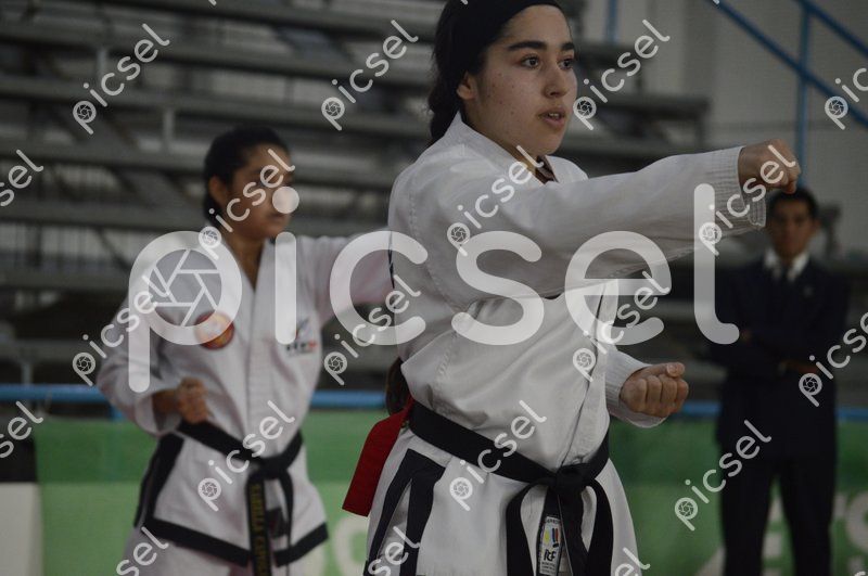 Photo of z9ryn5ibbopnslmfehtj20mn