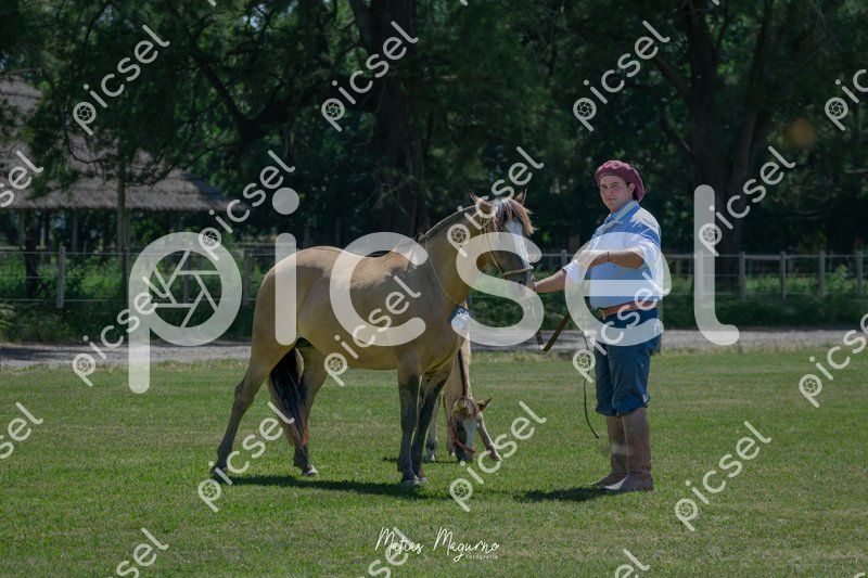 Photo of qmv4wr33f5hh6jyhx8pqvzbc