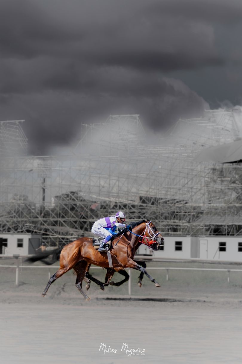 Reunión 20 • Hipódromo Rosario  •