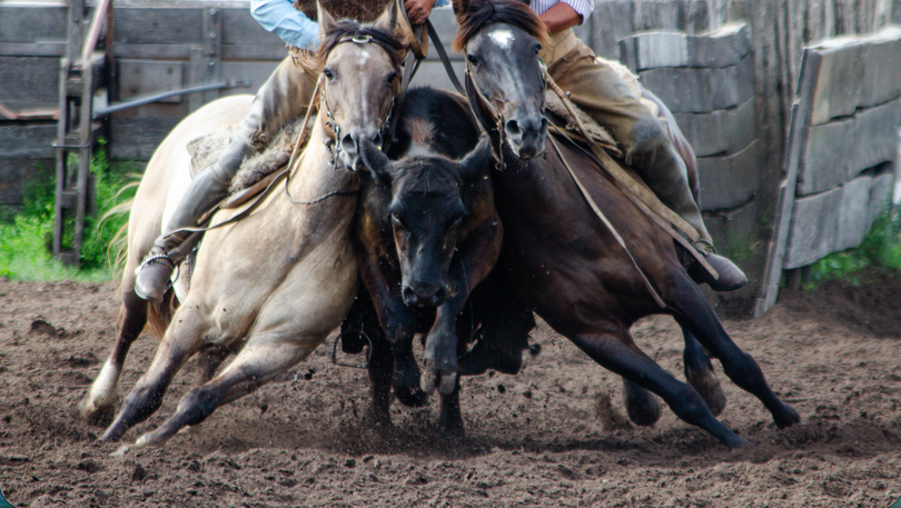 Rodeos Viernes Trenque Laquen
