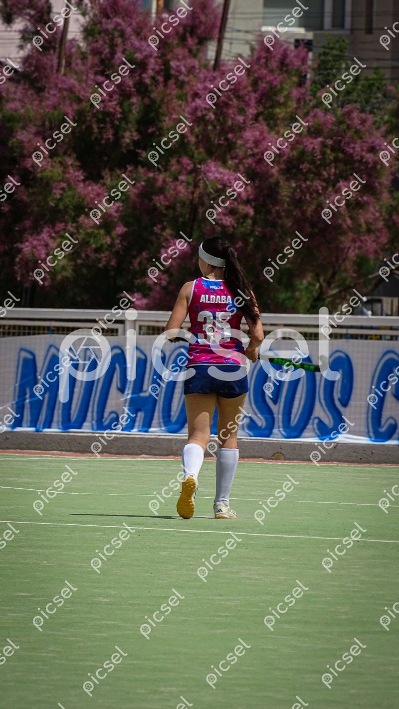 Photo of ttjsf7i6h6vh9dvt73t6yzg4