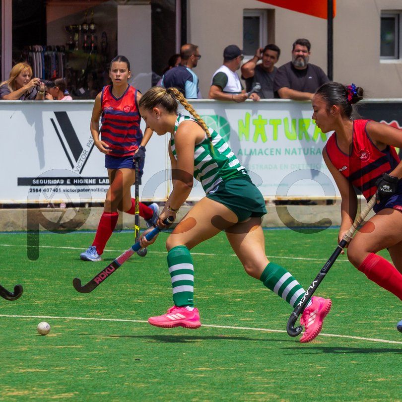 Photo of zly8md6lq6c95lxibm56c9g1